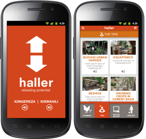 haller-2
