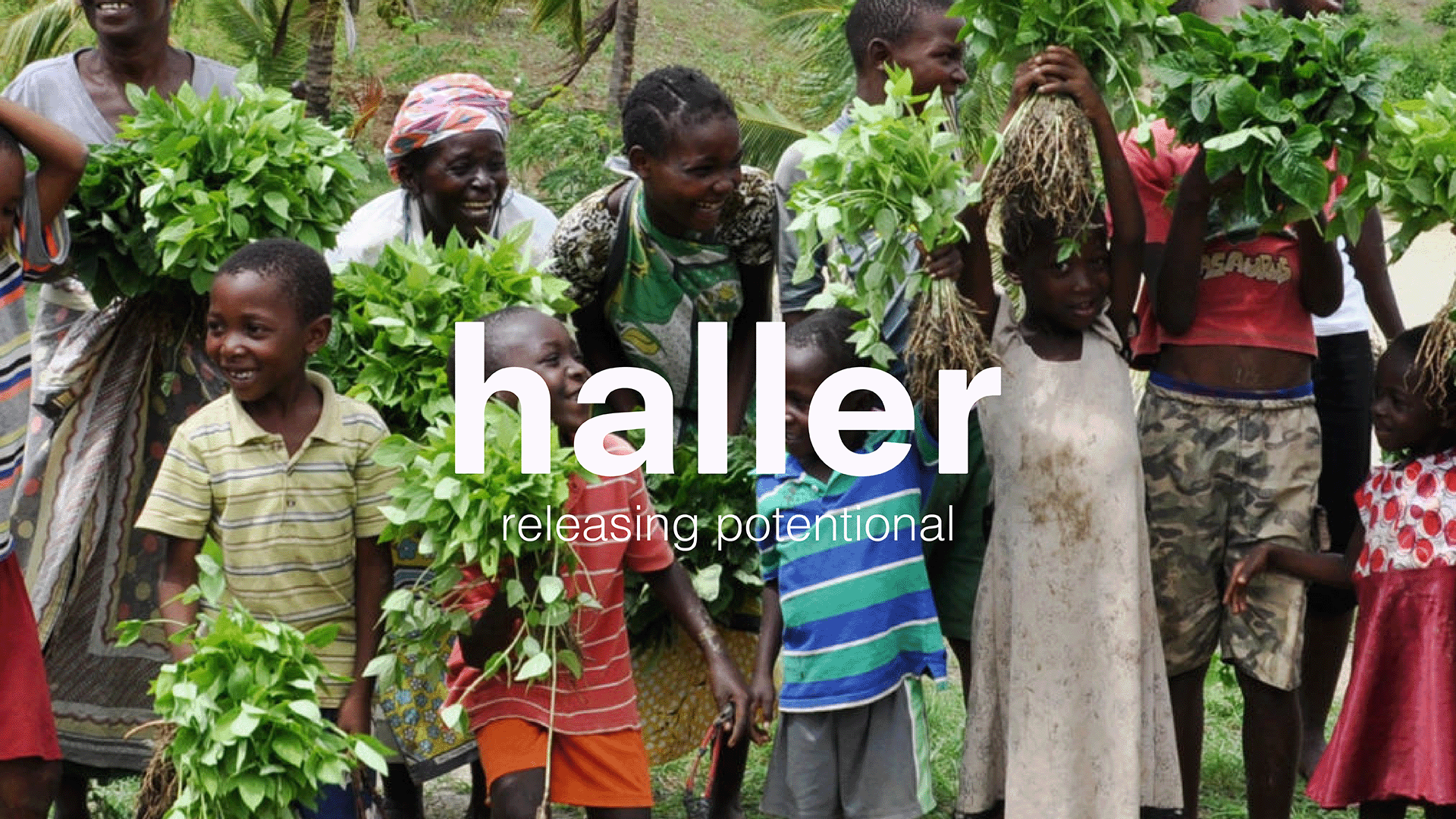 Haller-02